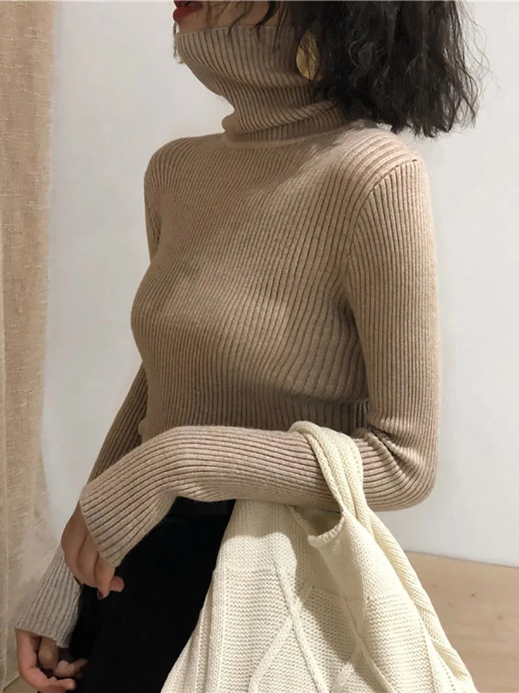 Slim Knit Turtleneck Sweater