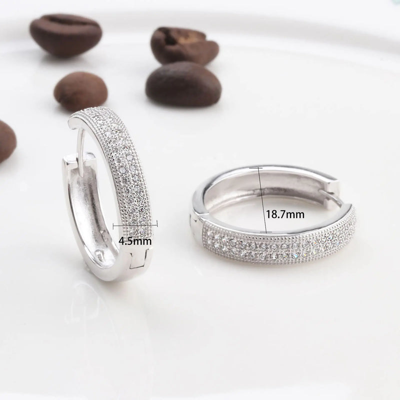 Sterling Silver Zircon Hoop Earrings