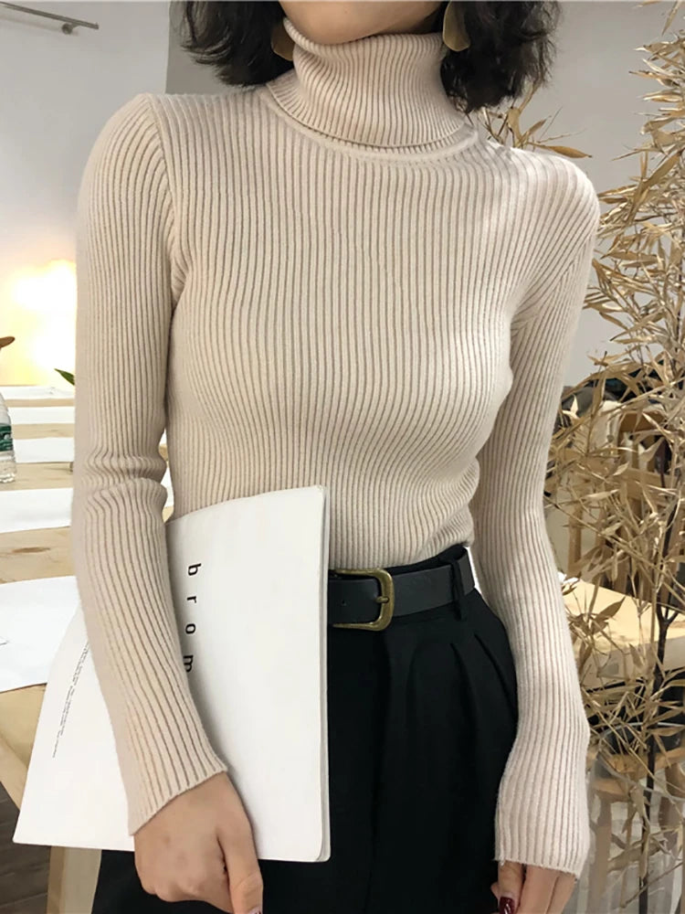 Slim Knit Turtleneck Sweater