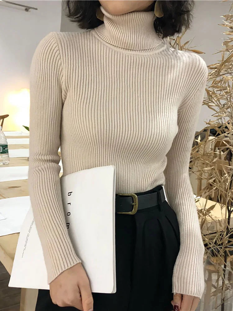 Slim Knit Turtleneck Sweater