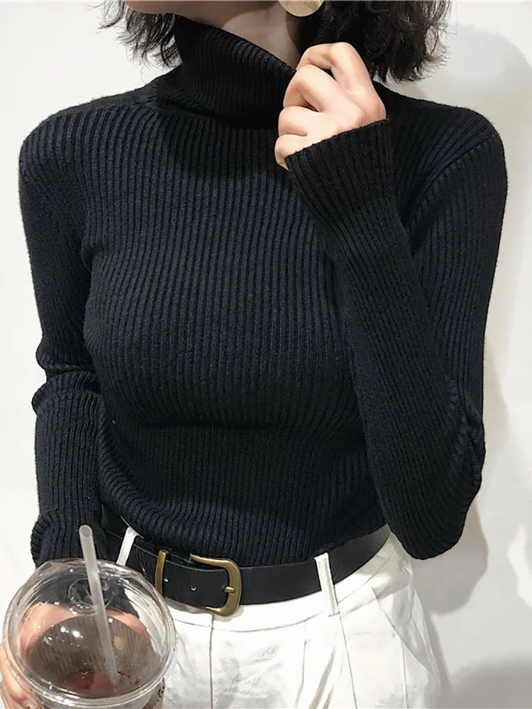 Slim Knit Turtleneck Sweater