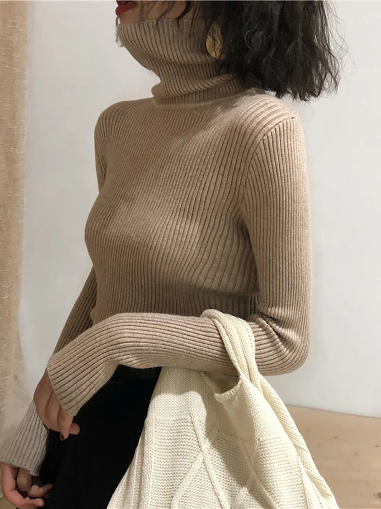 Slim Knit Turtleneck Sweater