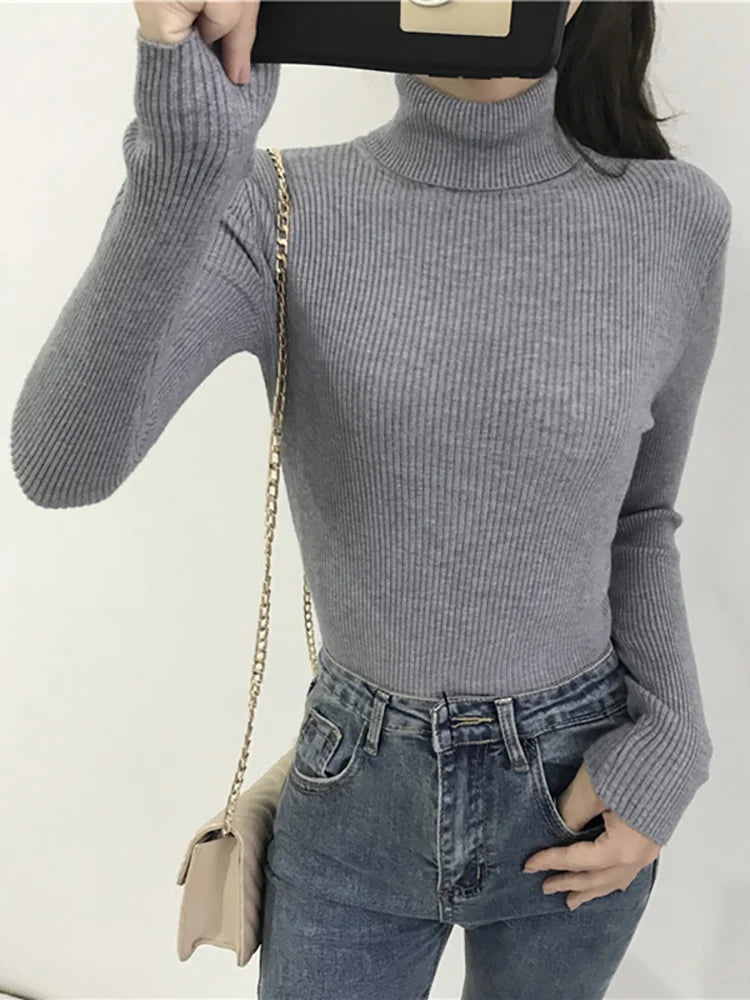 Slim Knit Turtleneck Sweater