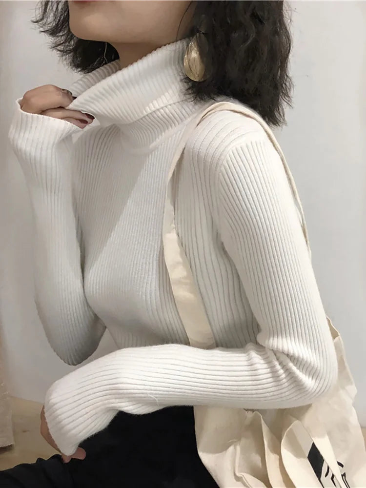 Slim Knit Turtleneck Sweater