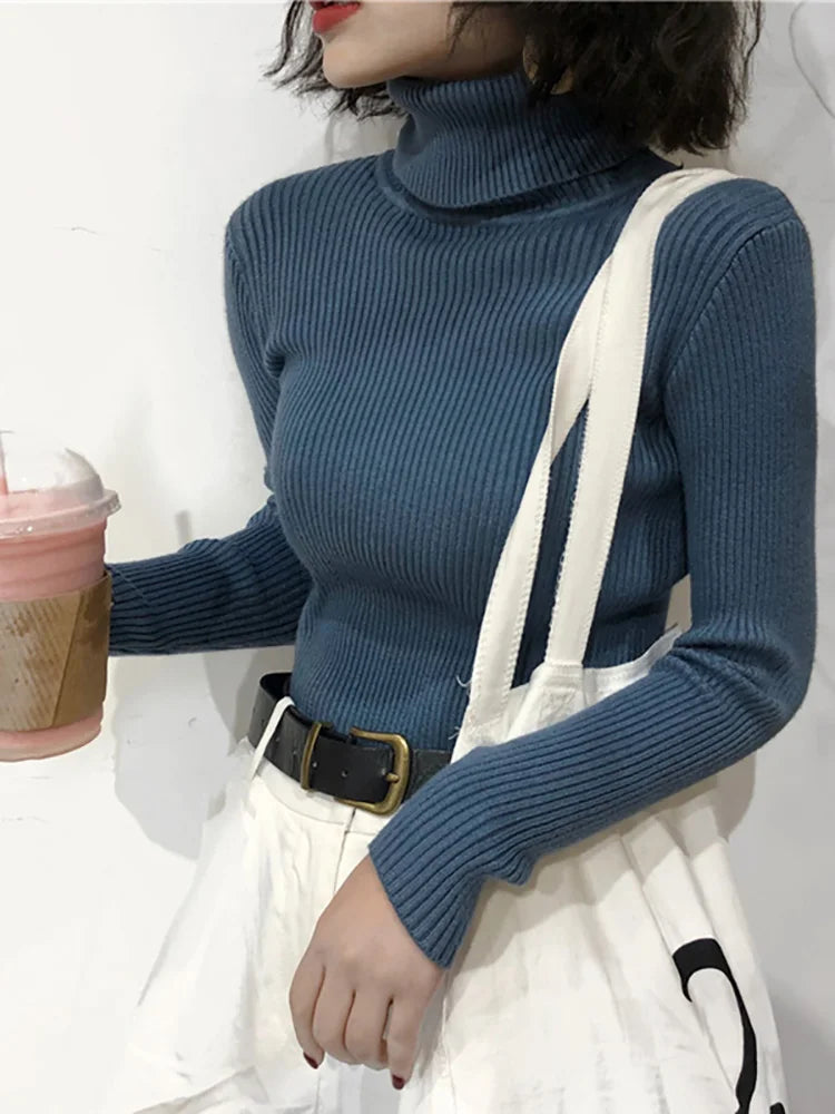 Slim Knit Turtleneck Sweater