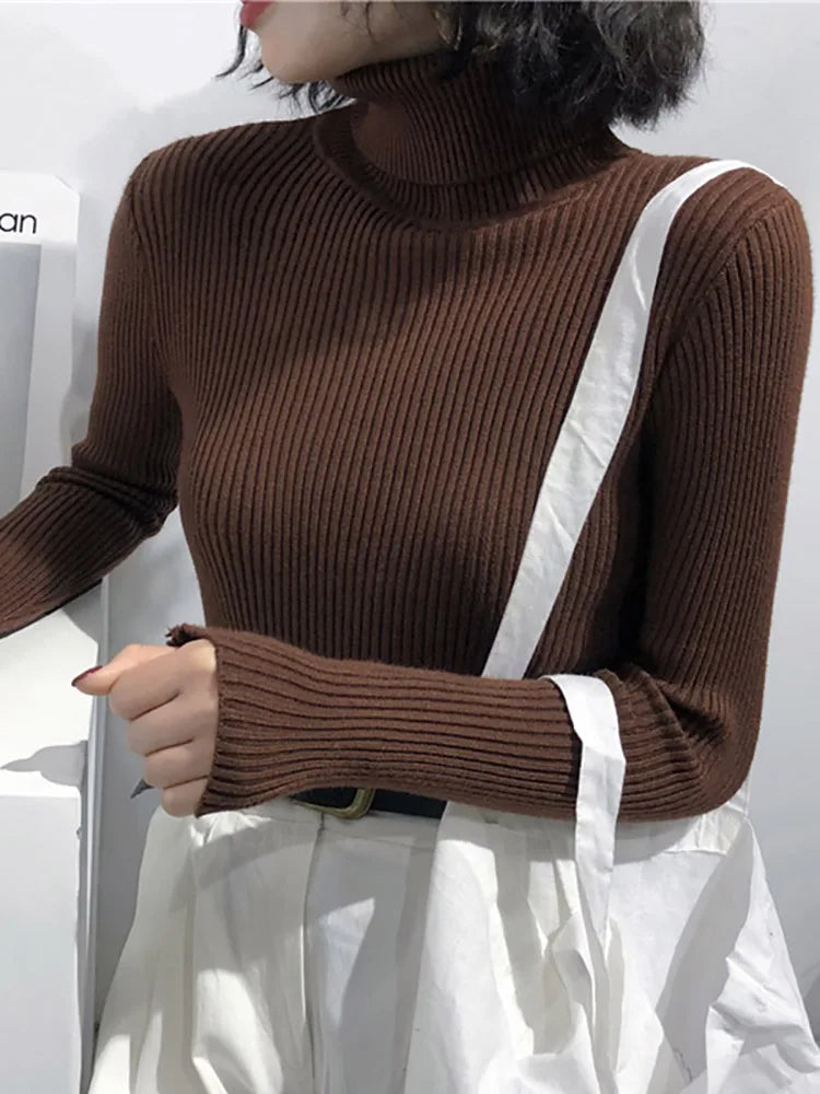 Slim Knit Turtleneck Sweater