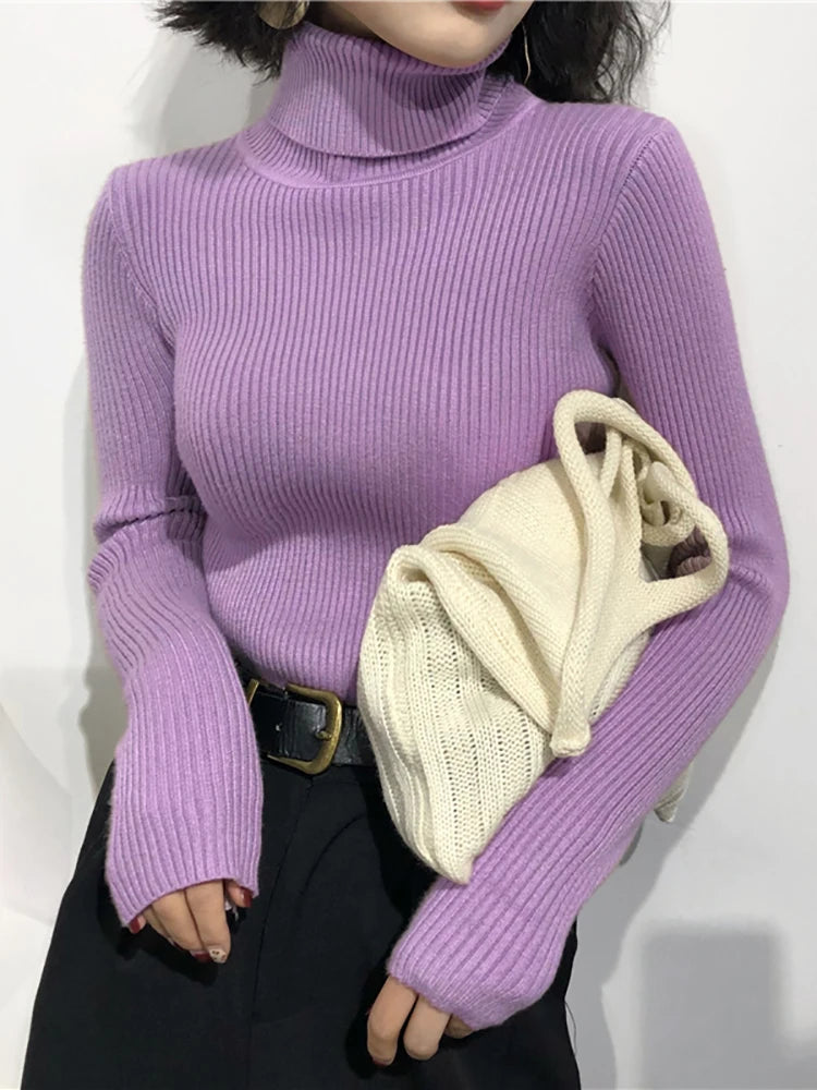 Slim Knit Turtleneck Sweater