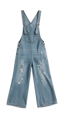 Nora Distressed Denim Overalls