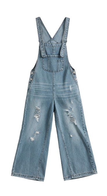 Nora Distressed Denim Overalls
