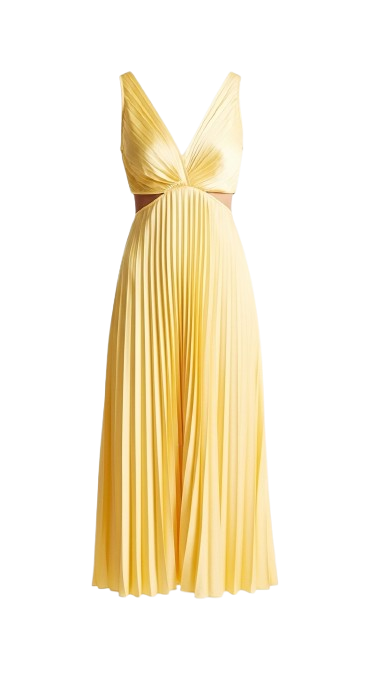 Alessia Pleated Backless Dress
