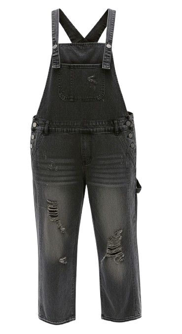 Nora Distressed Denim Overalls