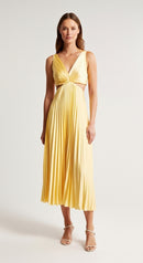 Alessia Pleated Backless Dress
