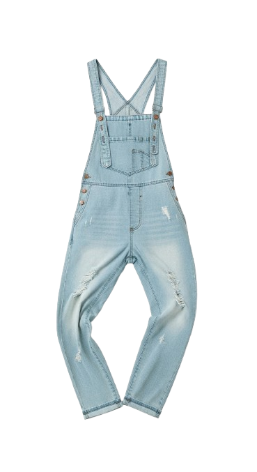 Nora Distressed Denim Overalls