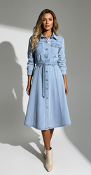 Maris Denim Shirt Dress